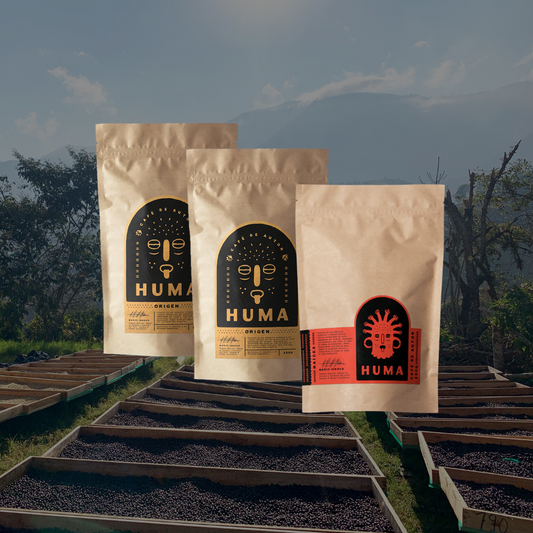 3 Bags of 250g – 70 Cups Subscription