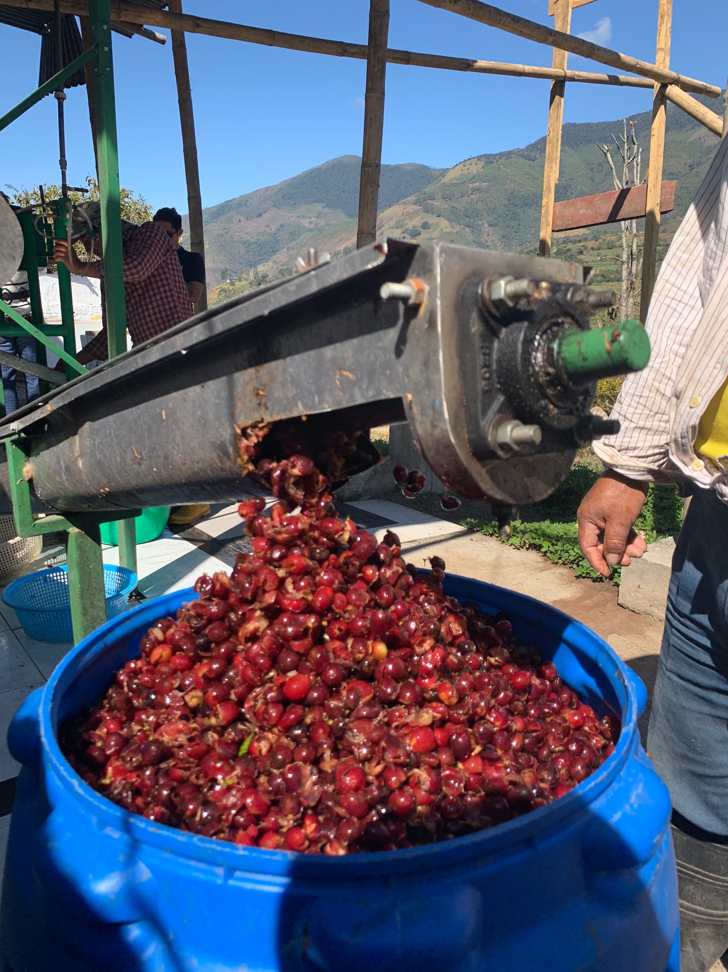 Loja - Sidra, Lavado (250g - 1kg)