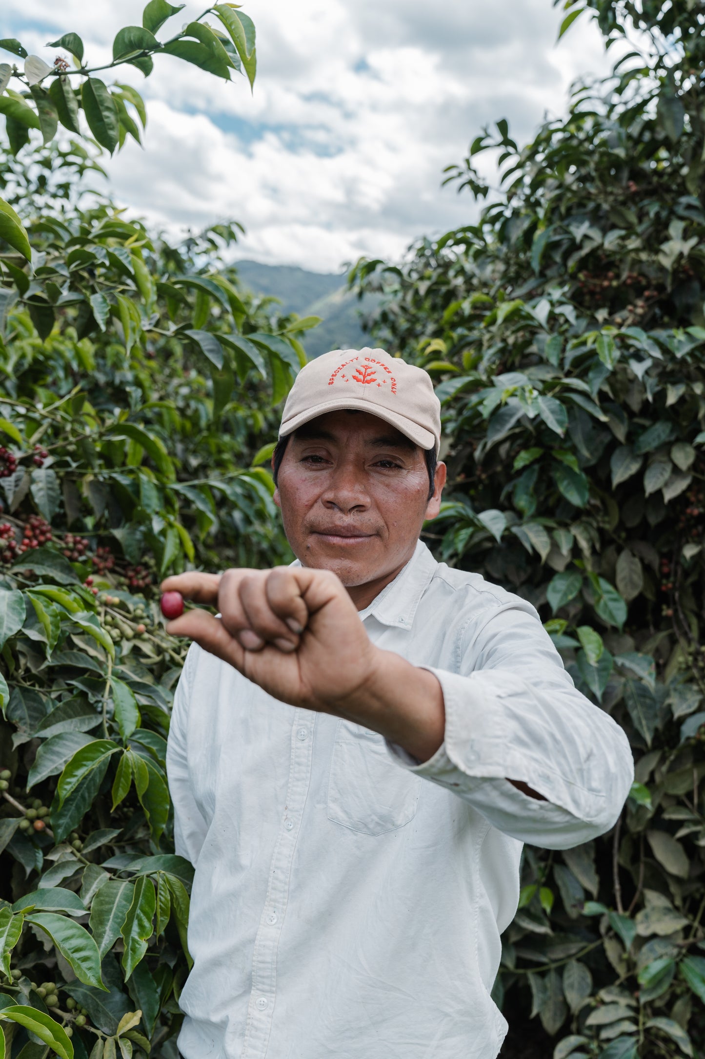 Proceso tostado café Raíces Blend HUMA Coffee Quito Ecuador