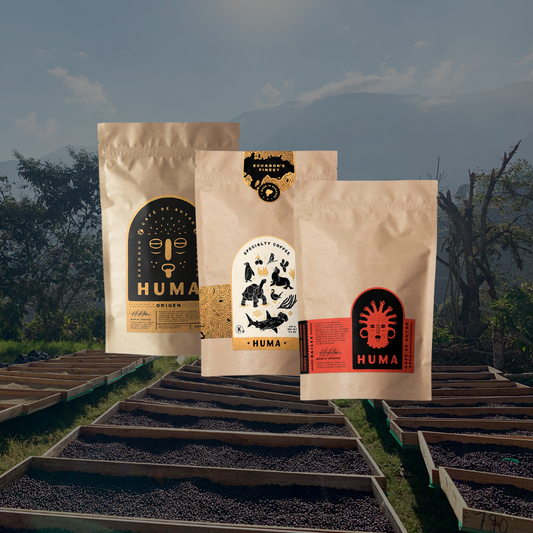 3-Pack Experience – Suscripción