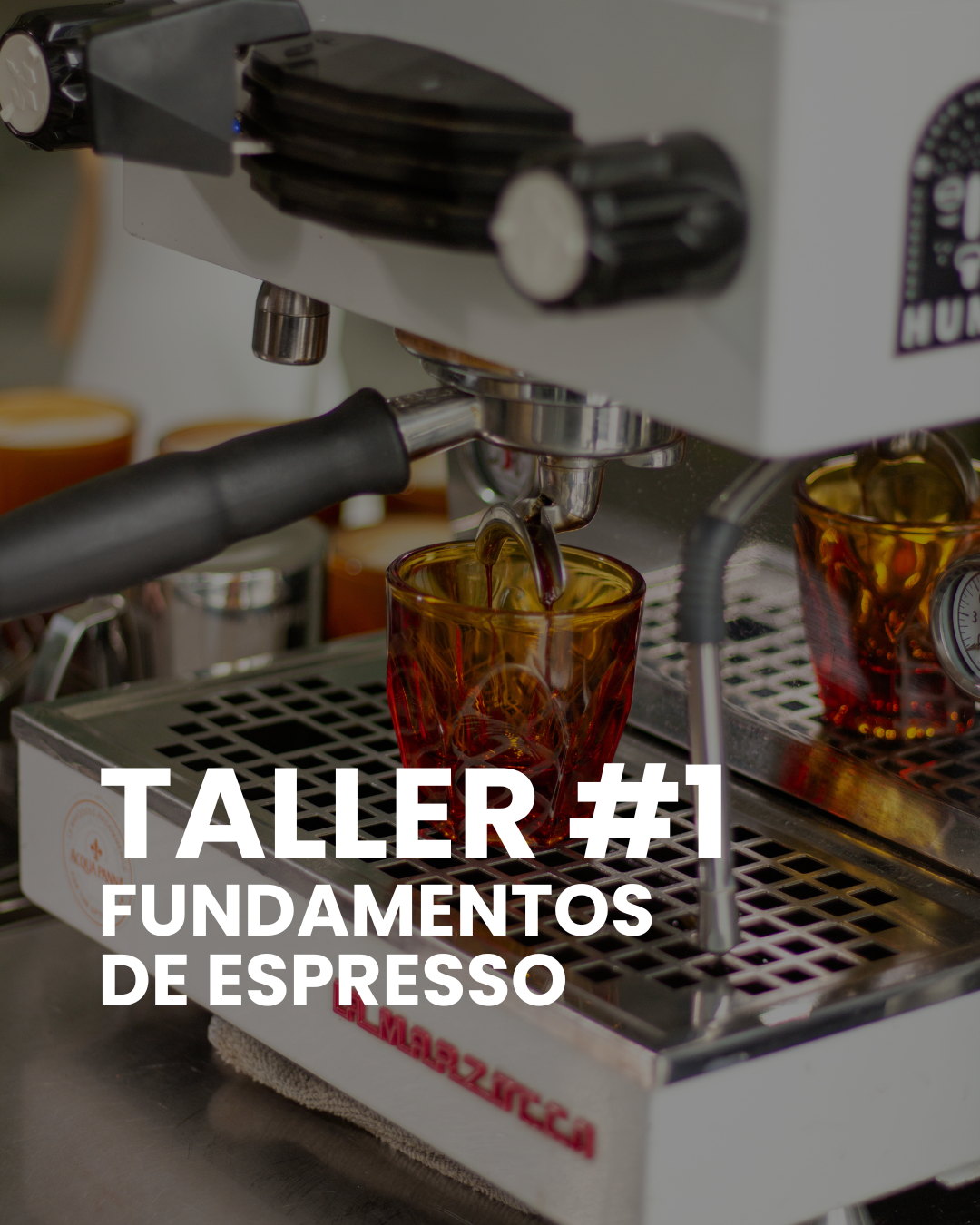 Taller #1 Fundamentos de Espresso