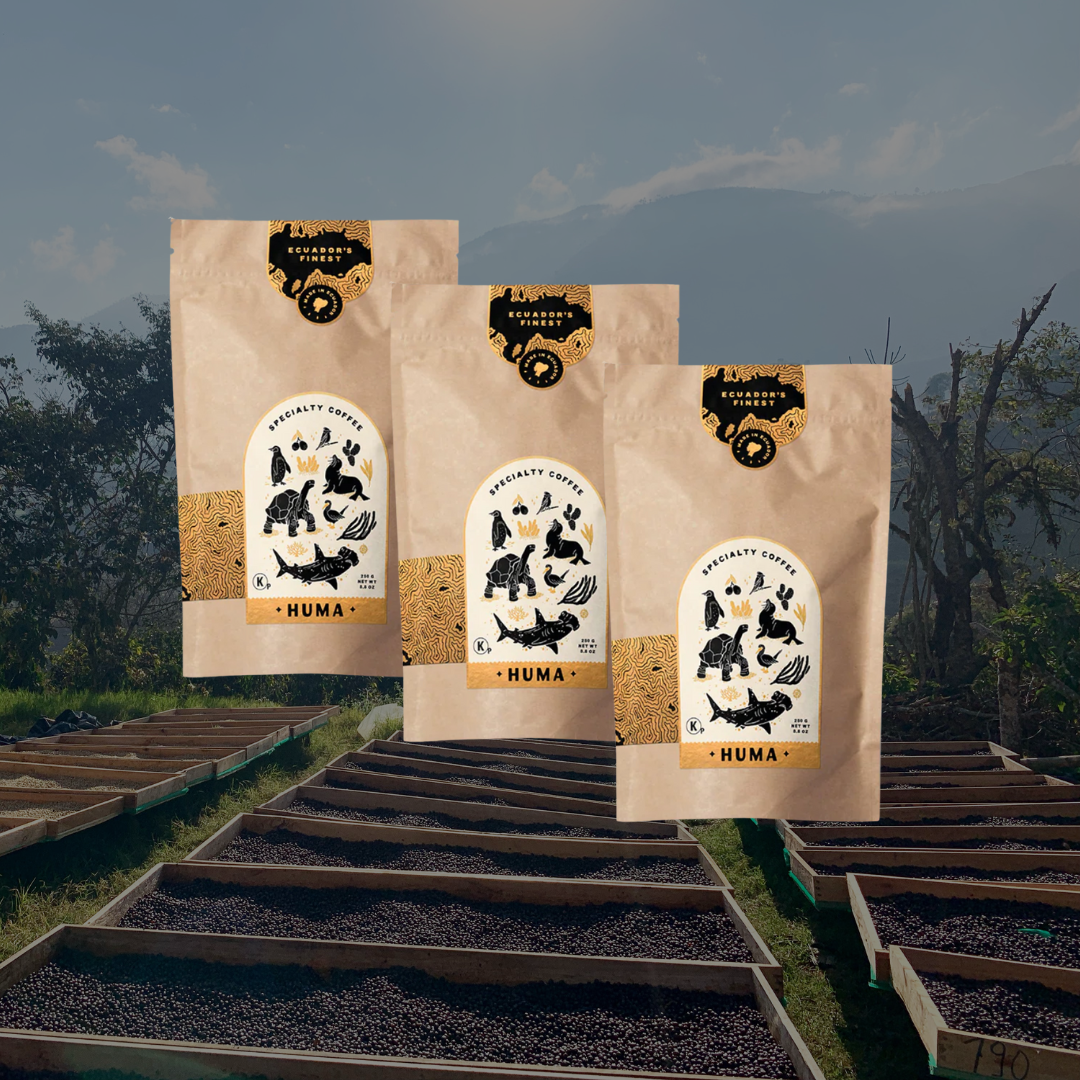 3 Bags of 250g – 70 Cups Subscription