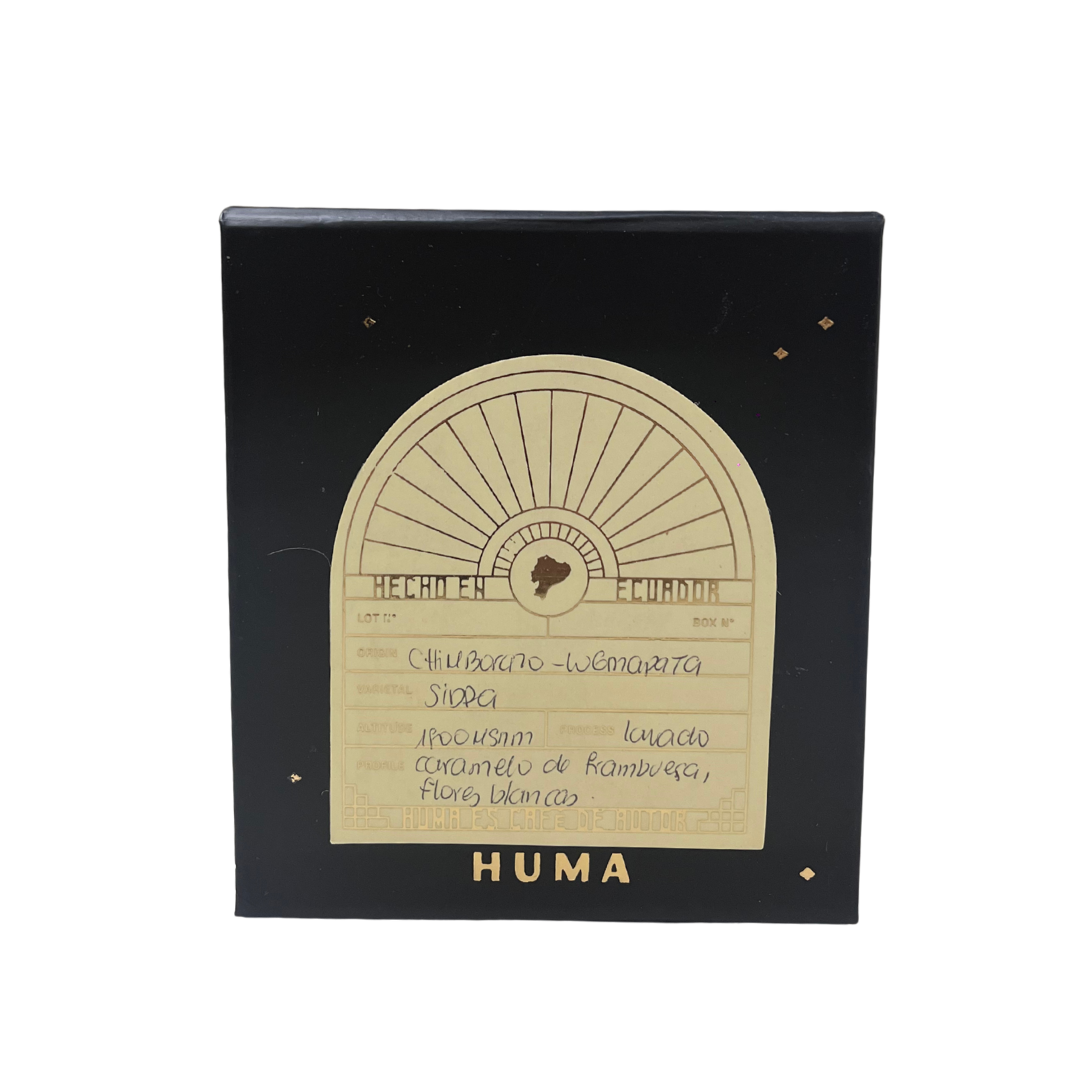 Nano Lots (Lugmapata, Sidra, 88+ SCA)