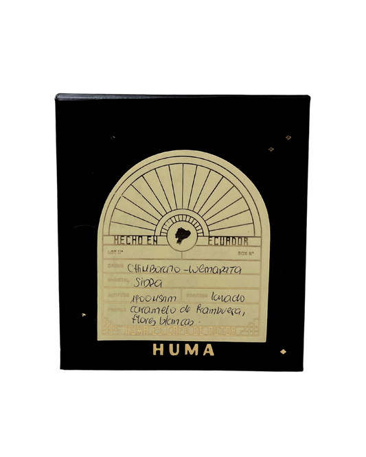 Nano Lotes (Lugmapata, Sidra, 88+ SCA)